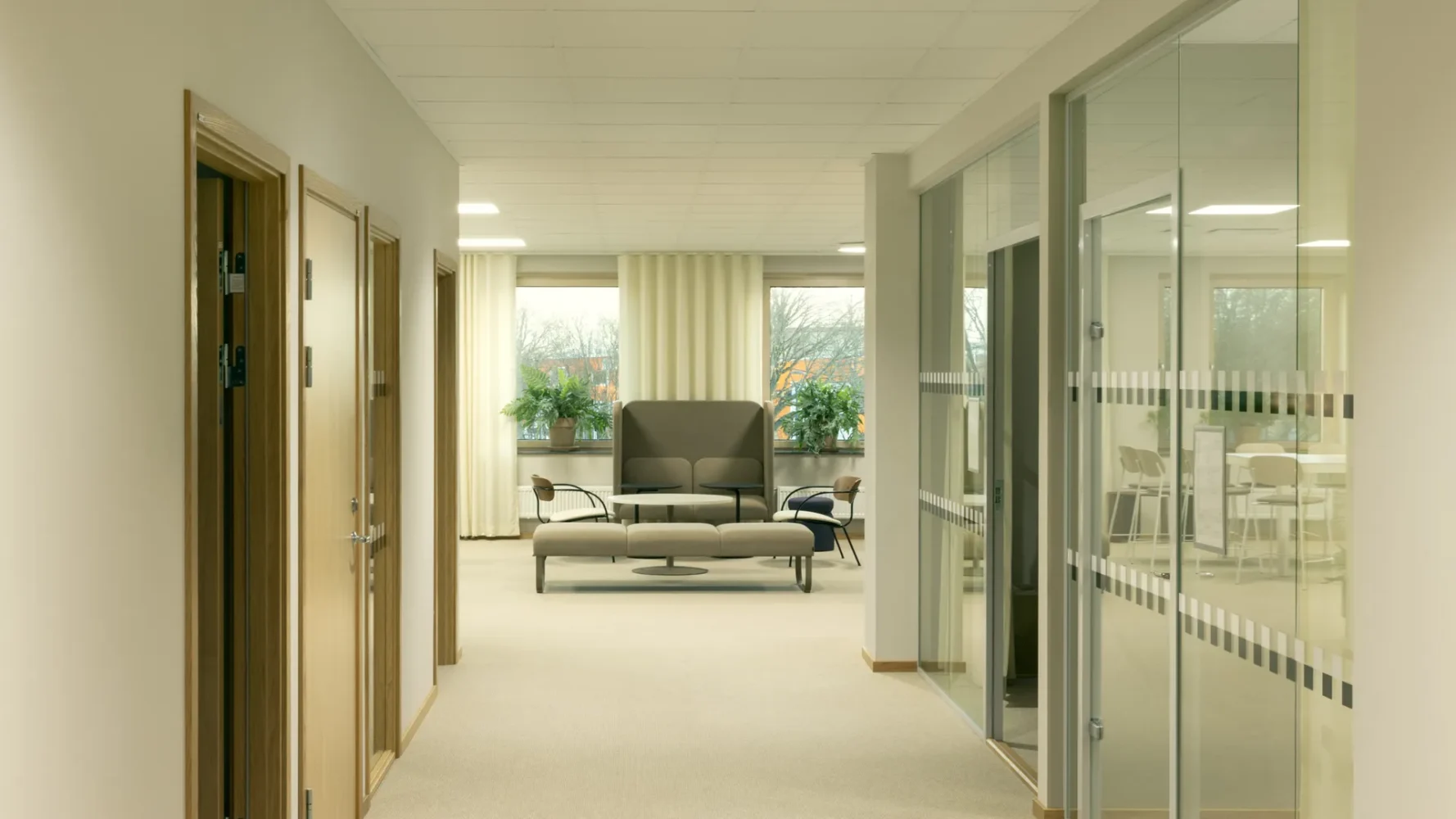 Interior view of a modern office hallway with beige carpet, wooden doors on the left, and glass-walled meeting rooms on the right. At the end of the hall, two large windows let in natural light, and a seating area with a gray sofa and armchairs is placed in front of potted plants.